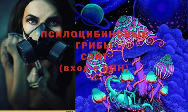 спиды Беломорск