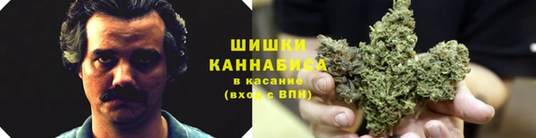 марки nbome Белокуриха